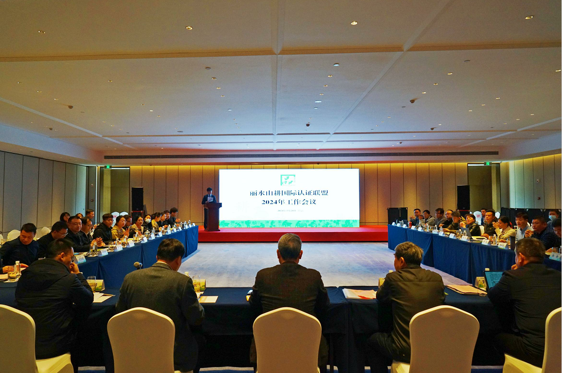 1711093265533620.png 1711093272824.png